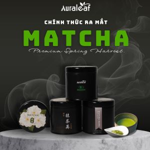 AURALEAF RA MẮT MATCHA HANA: ĐÁNH THỨC HƯƠNG VỊ UMAMI