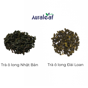 Khám Phá Sự Khác Biệt Giữa Trà Ô Long Nhật Bản Và Trà Ô Long Đài Loan
